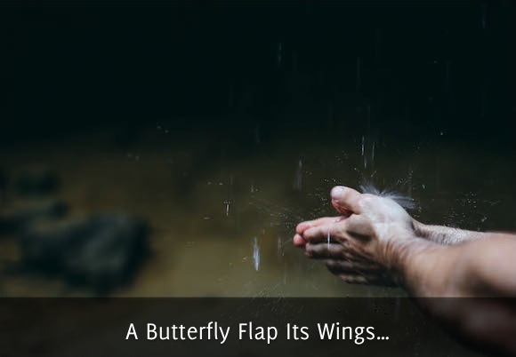 A Butterfly Flaps Its Wings Self Stairway